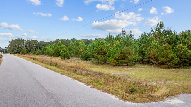 LOT 5 Creek Landing Rd, Nichols, SC 29581