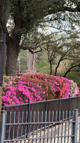 101 Westcott Street 905, Houston, TX 77007