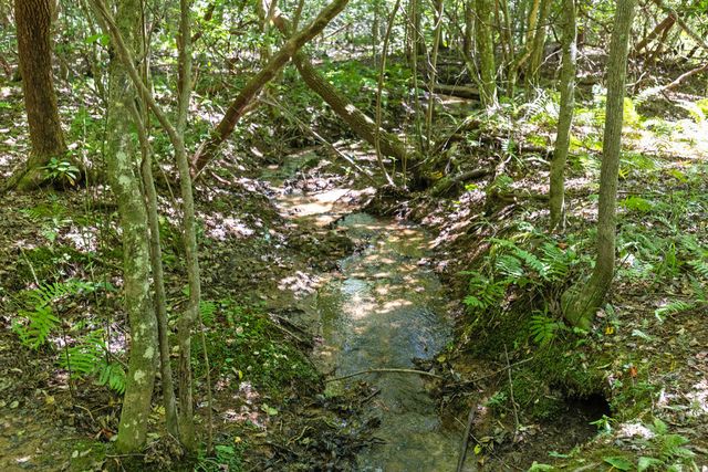 Lot 1 Natures Way, Blue Ridge, GA 30513