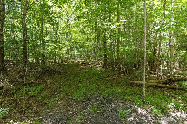 Lot 1 Natures Way, Blue Ridge, GA 30513