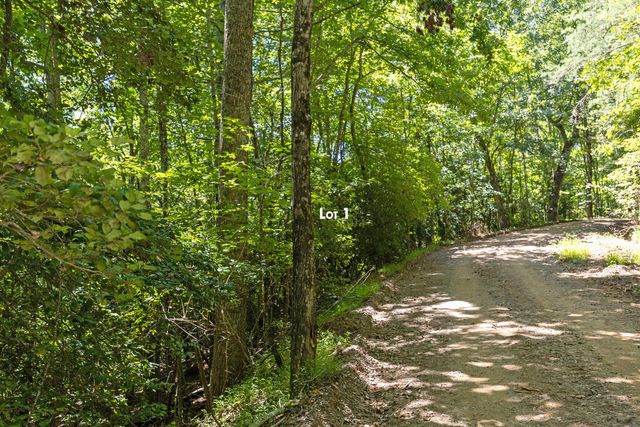 Lot 1 Natures Way, Blue Ridge, GA 30513