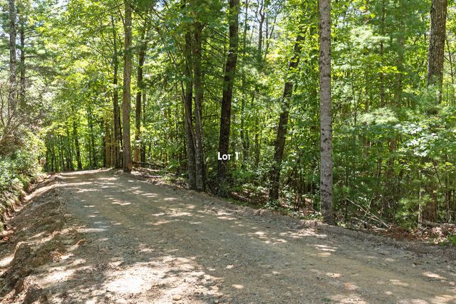 Lot 1 Natures Way, Blue Ridge, GA 30513