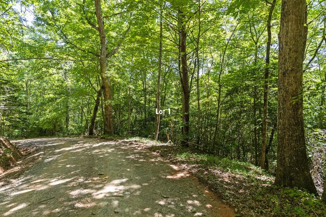 Lot 1 Natures Way, Blue Ridge, GA 30513