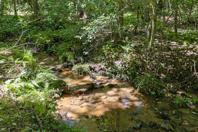 Lot 1 Natures Way, Blue Ridge, GA 30513