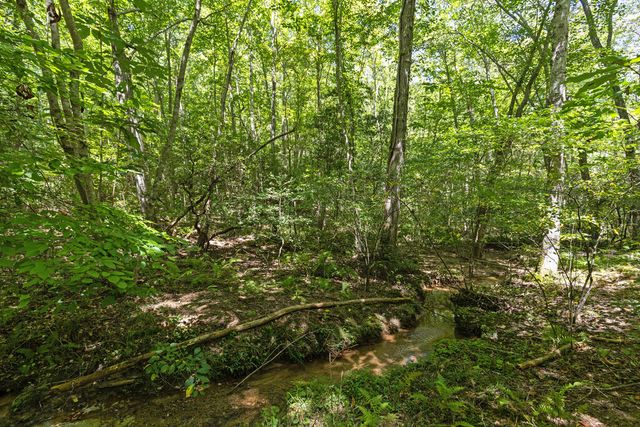 Lot 1 Natures Way, Blue Ridge, GA 30513
