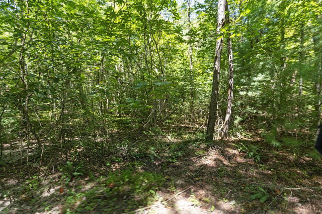 Lot 1 Natures Way, Blue Ridge, GA 30513
