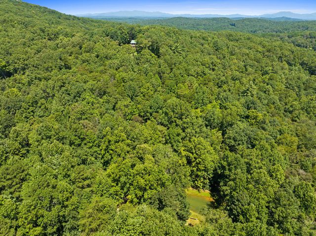 Lot 1 Natures Way, Blue Ridge, GA 30513