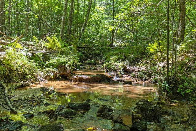 Lot 1 Natures Way, Blue Ridge, GA 30513