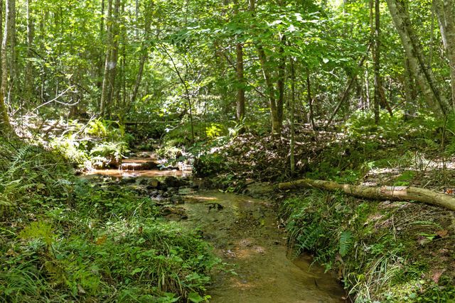 Lot 1 Natures Way, Blue Ridge, GA 30513