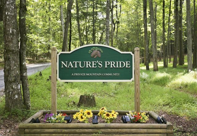 Lot 1 Natures Way, Blue Ridge, GA 30513