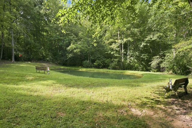 Lot 1 Natures Way, Blue Ridge, GA 30513