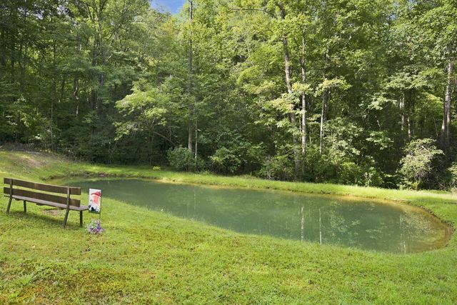 Lot 1 Natures Way, Blue Ridge, GA 30513