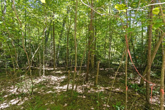 Lot 1 Natures Way, Blue Ridge, GA 30513