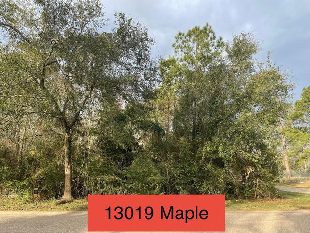 13019 Maple Street, Crosby, TX 77532