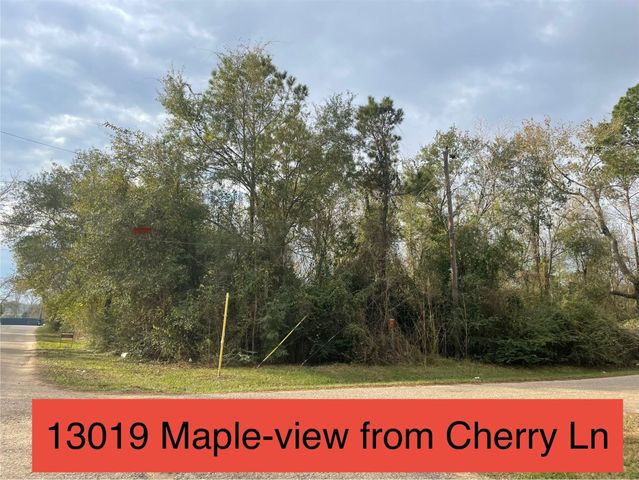 13019 Maple Street, Crosby, TX 77532