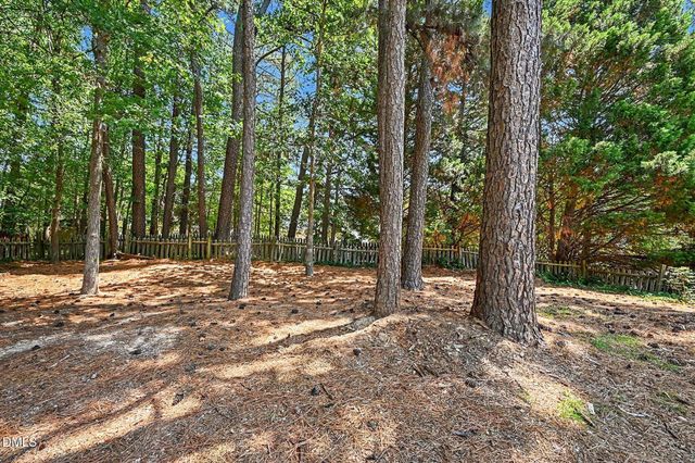 2 Brevard Court, Durham, NC 27713