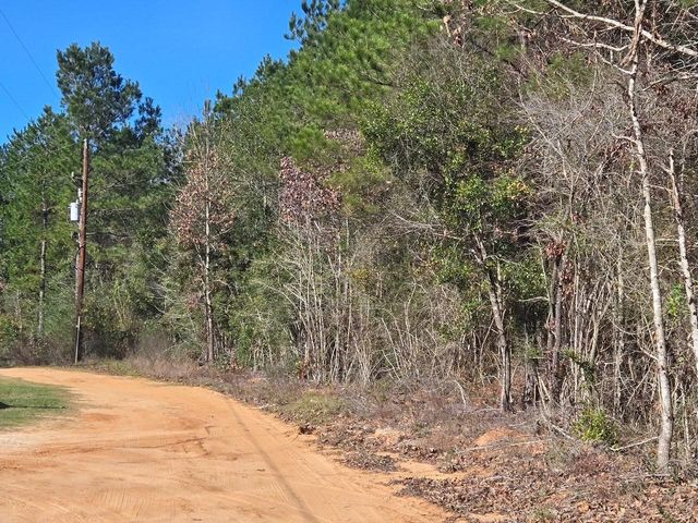 TBD Private Road 5020, Woodville, TX 75979