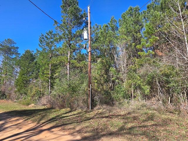 TBD Private Road 5020, Woodville, TX 75979