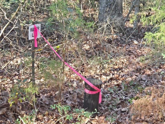 TBD Private Road 5020, Woodville, TX 75979