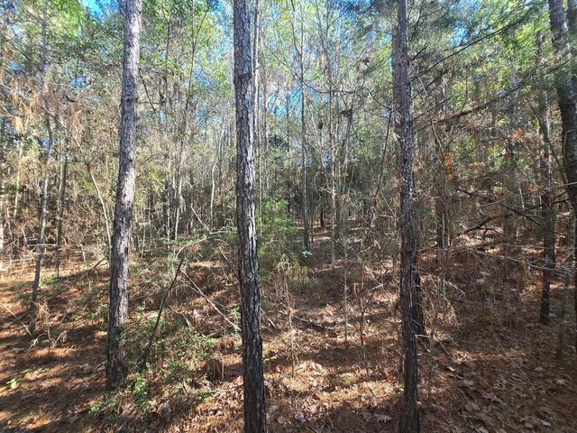 TBD Private Road 5020, Woodville, TX 75979