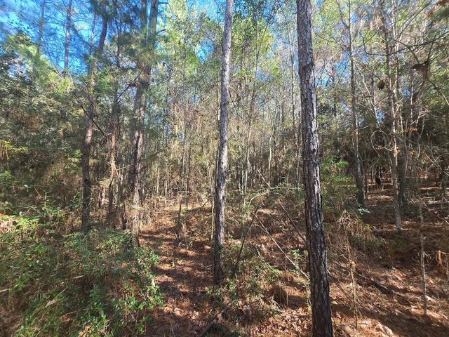 TBD Private Road 5020, Woodville, TX 75979