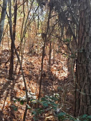 TBD Private Road 5020, Woodville, TX 75979