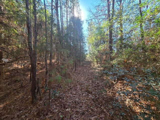 TBD Private Road 5020, Woodville, TX 75979