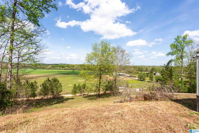 143 DARK HOLLOW ROAD, Ohatchee, AL 36271