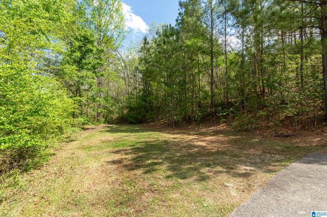 143 DARK HOLLOW ROAD, Ohatchee, AL 36271
