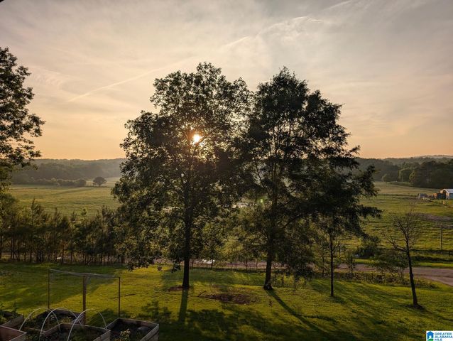 143 DARK HOLLOW ROAD, Ohatchee, AL 36271