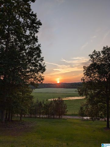 143 DARK HOLLOW ROAD, Ohatchee, AL 36271