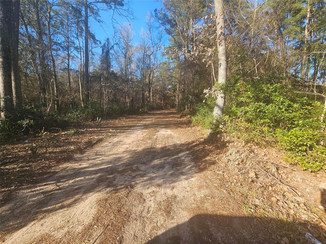 1325 Fm 223 Road, Shepherd, TX 77371