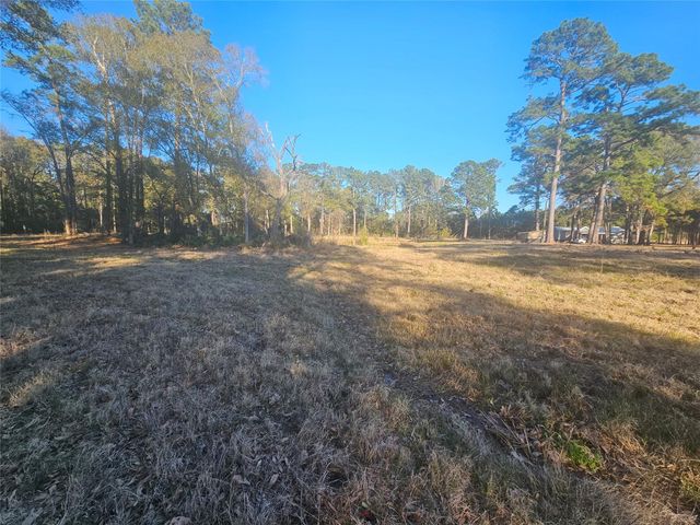 1325 Fm 223 Road, Shepherd, TX 77371