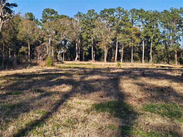 1325 Fm 223 Road, Shepherd, TX 77371