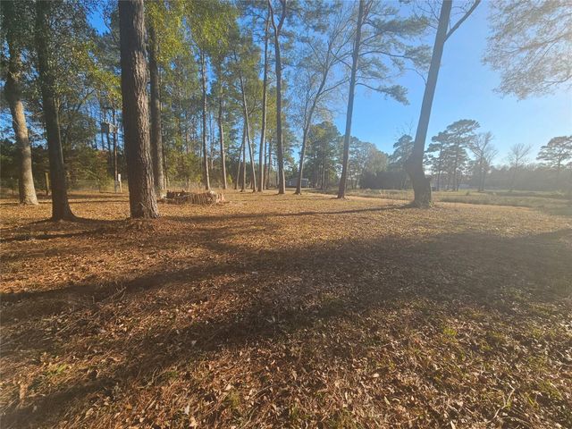 1325 Fm 223 Road, Shepherd, TX 77371