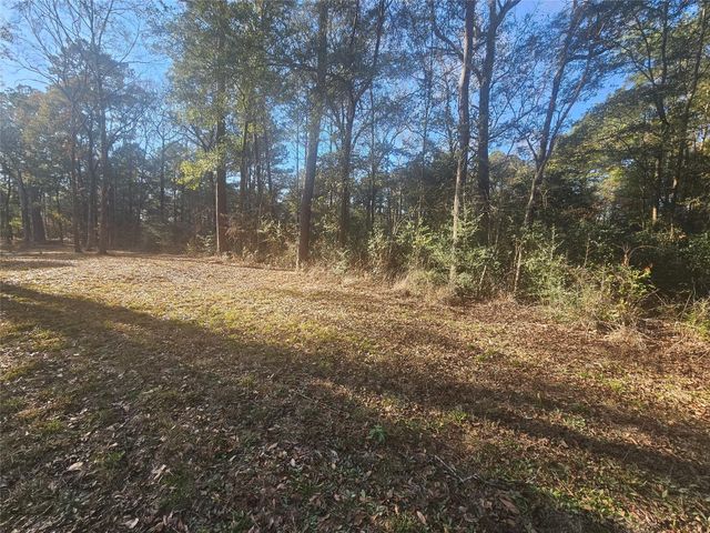 1325 Fm 223 Road, Shepherd, TX 77371