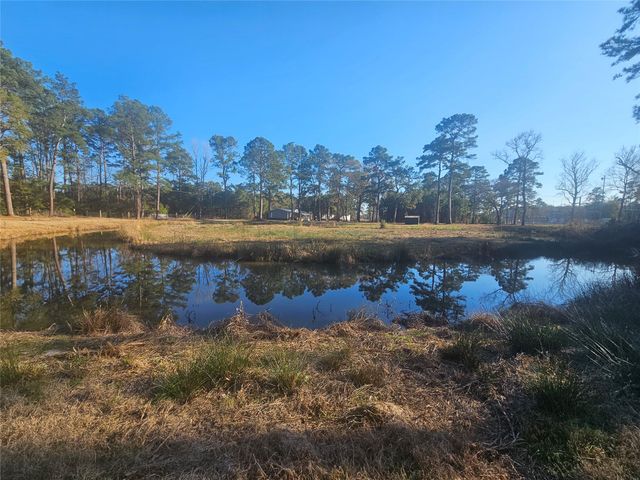 1325 Fm 223 Road, Shepherd, TX 77371