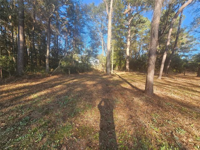 1325 Fm 223 Road, Shepherd, TX 77371