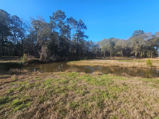 1325 Fm 223 Road, Shepherd, TX 77371