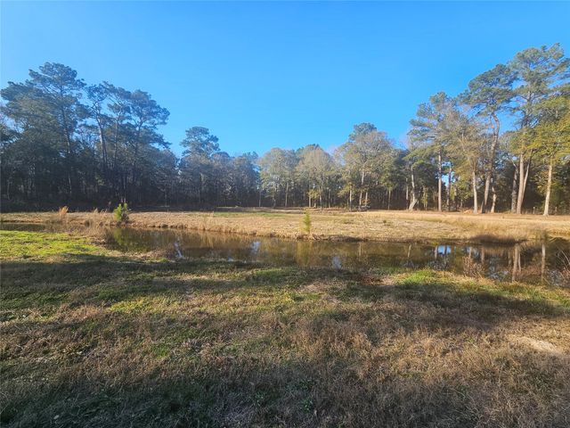1325 Fm 223 Road, Shepherd, TX 77371