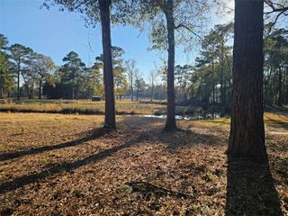 1325 Fm 223 Road, Shepherd, TX 77371