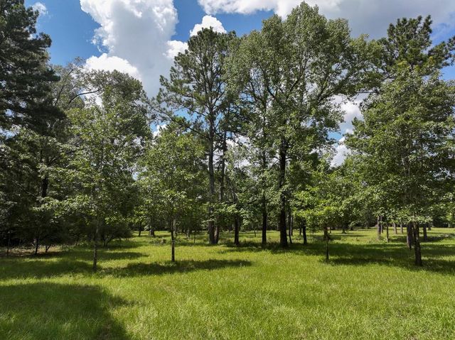 3884 Colita Loop, Livingston, TX 77351