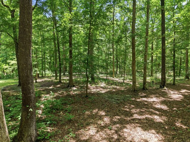1225 Johnny Hall Rd, Burns, TN 37029