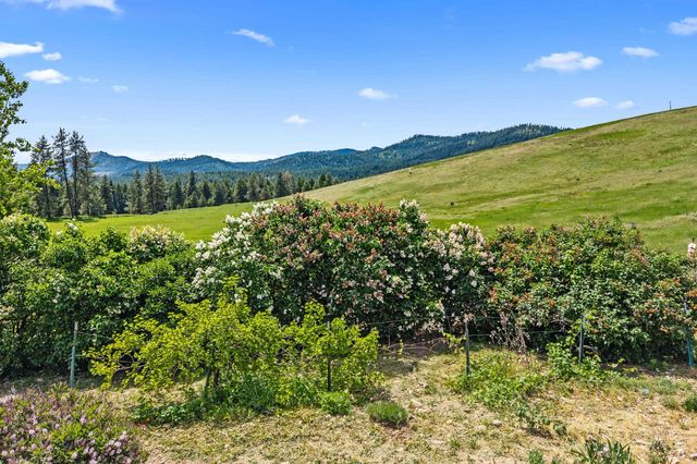 2558 Grimm Rd, Addy, WA 99101