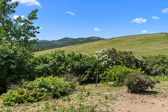 2558 Grimm Rd, Addy, WA 99101