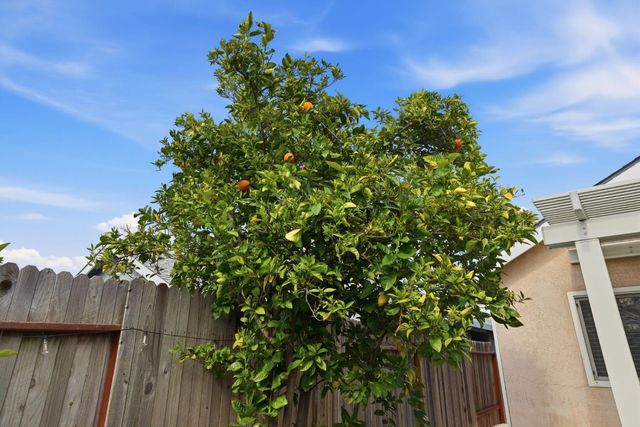 1319 Chignahuapan Way, Roseville, CA 95747