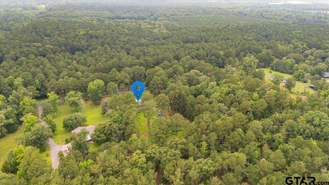 20994 State Highway 110 N, Troup, TX 75789