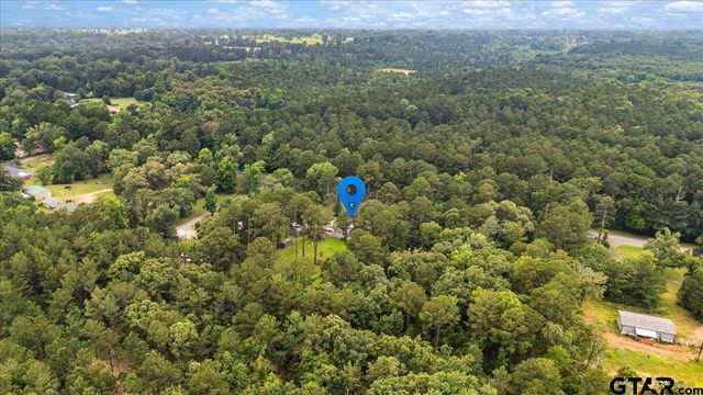 20994 State Highway 110 N, Troup, TX 75789