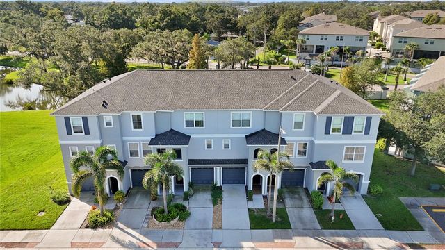 4849 TUSCAN LOON DRIVE, Tampa, FL 33619