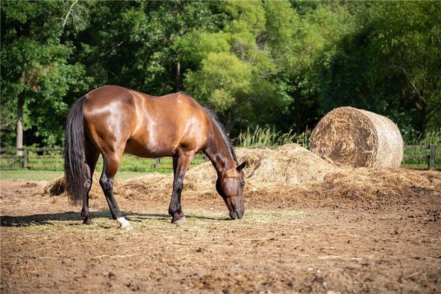 253 Lask Lane, Milton, GA 30004